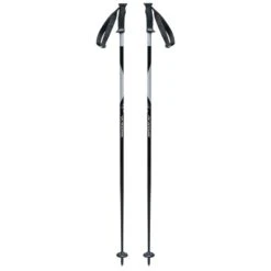 Swix Techlite MS Alpine Ski Poles - Men's
