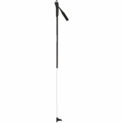 Rossignol FT-501 Nordic Ski Pole - Youth