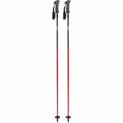 Swix Excalibur DD4 Ski Pole - Men's