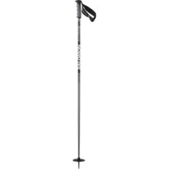 Salomon Hacker 3 Ski Pole - Unisex