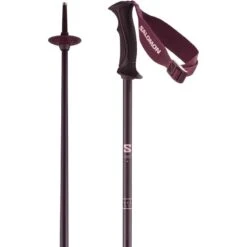 Salomon Angel S3 Alpine Ski Poles - Women's