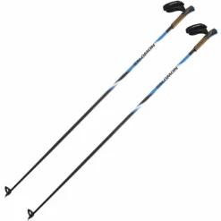 Salmo Salomon R30 Click Ski Pole -Winter Sports Equipment Store 1425250 800 auto